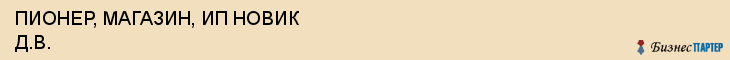 ПИОНЕР, МАГАЗИН, ИП НОВИК Д.В., Саратов